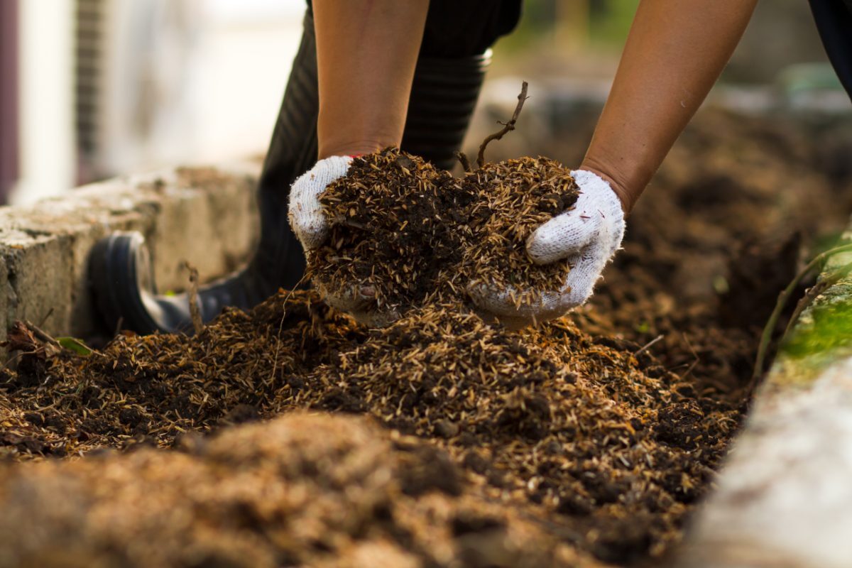 Composting: Your Complete Guide