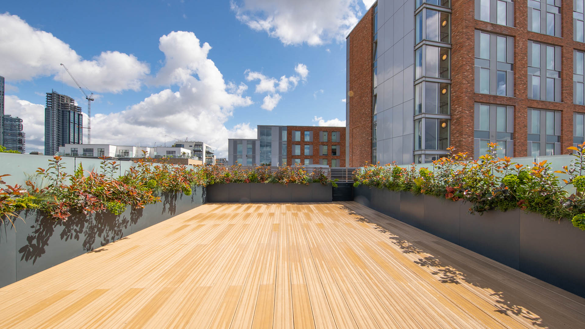 Clerkenwell Office Rooftop Garden Design