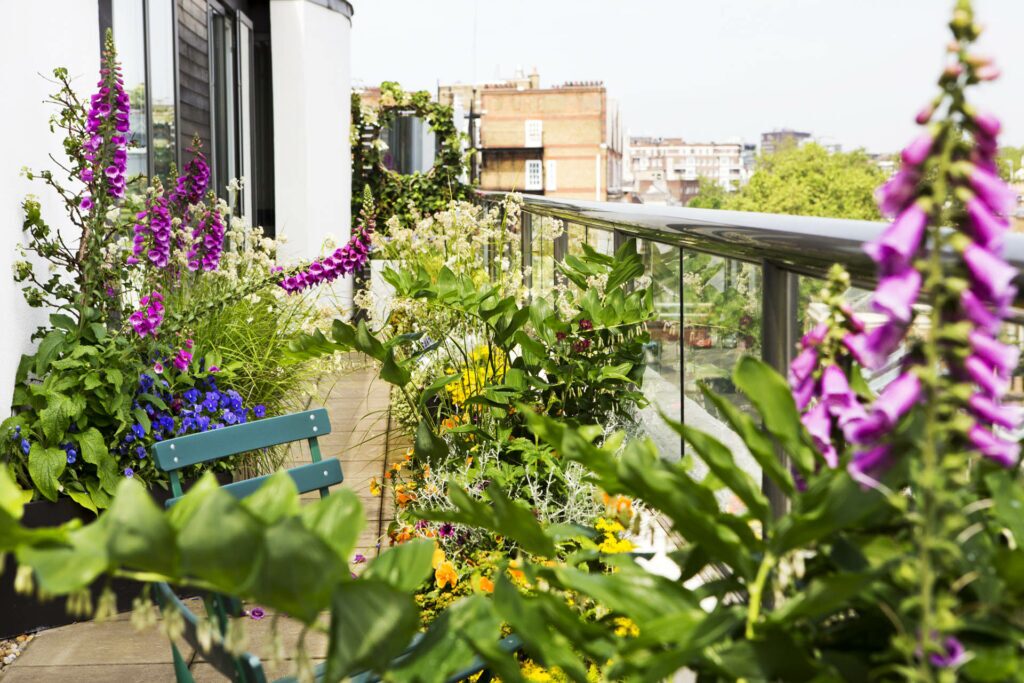 Regent’s Park Garden Design