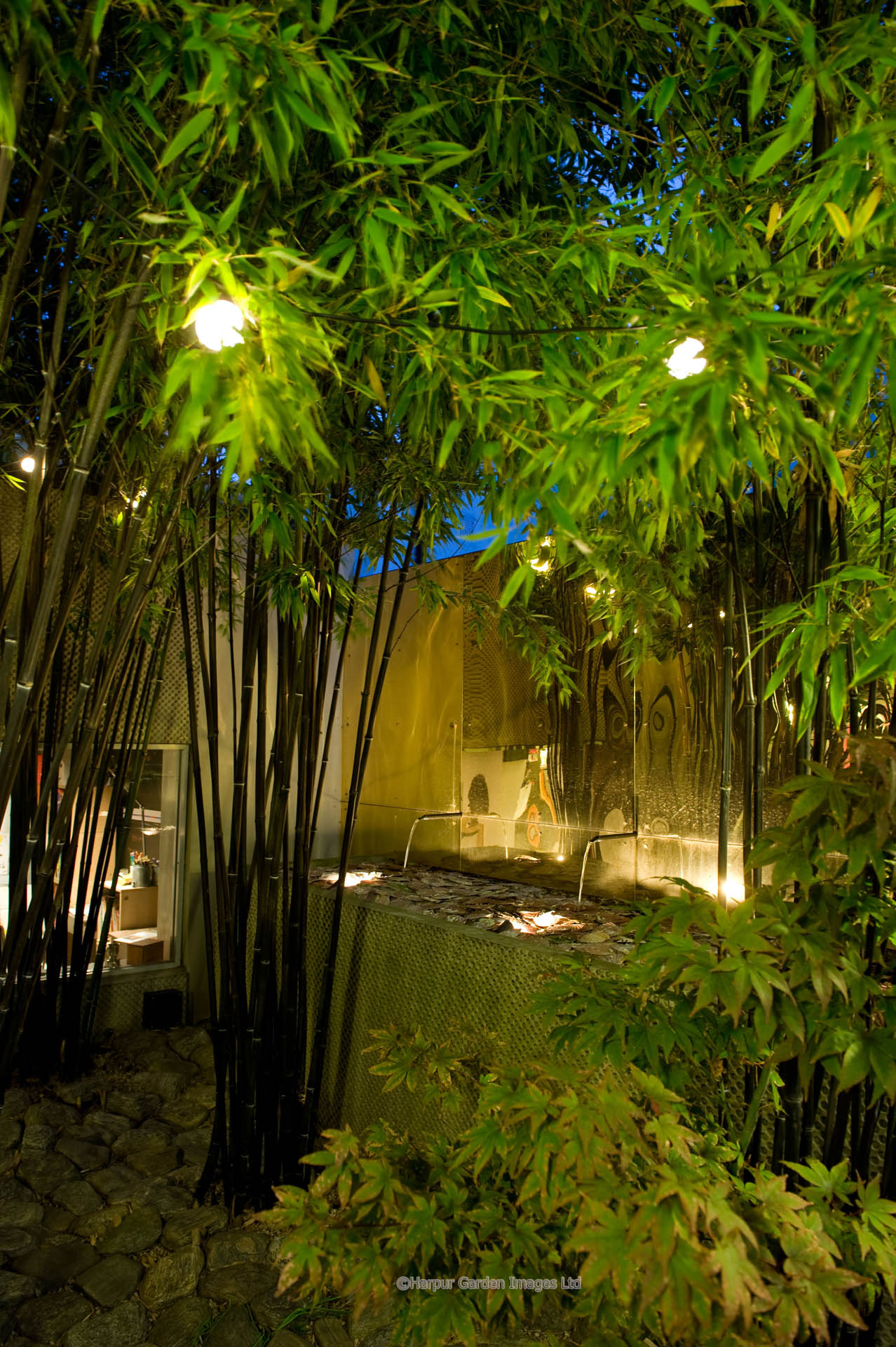 Kensal Green Garden Design