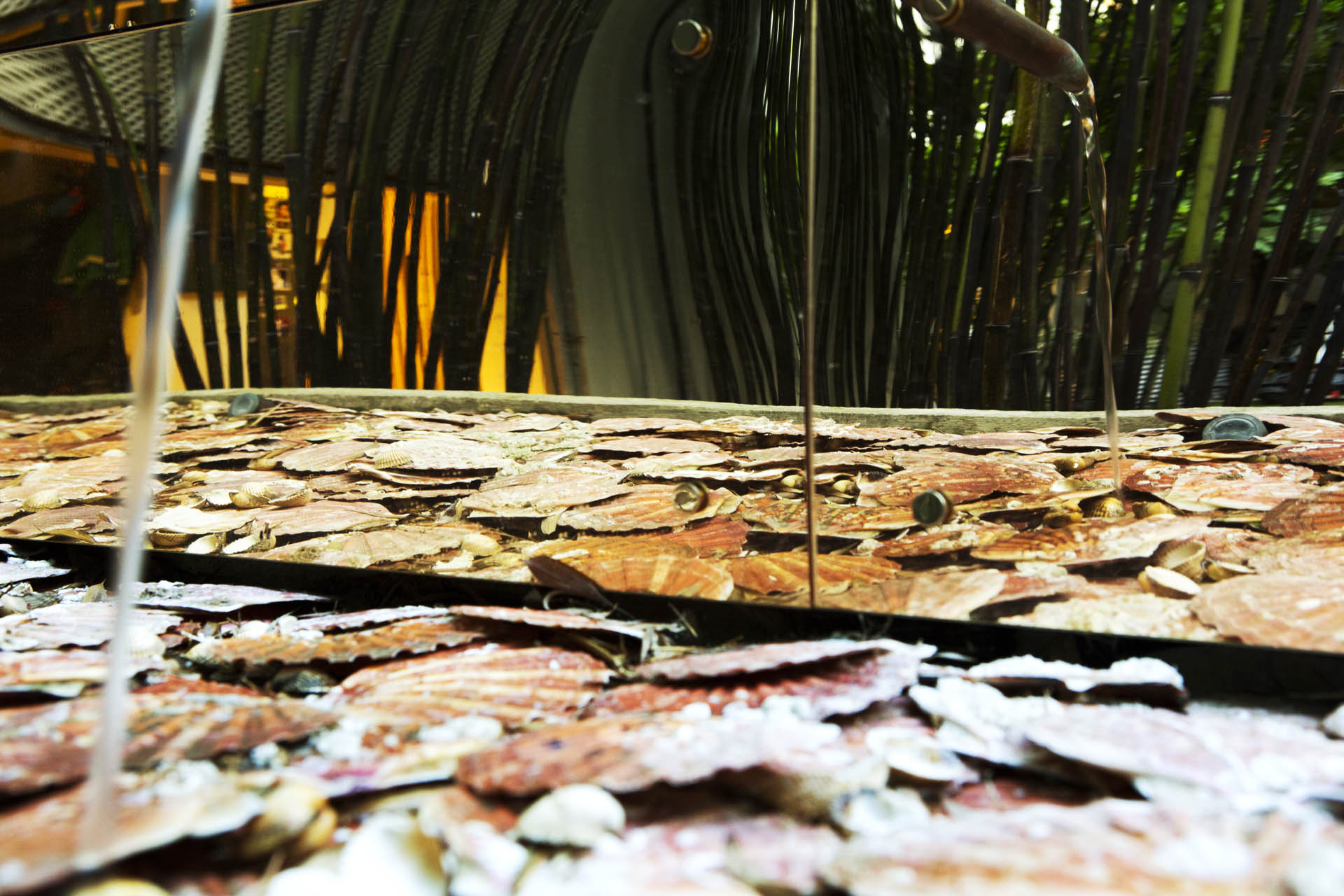 Kensal Green Garden Design