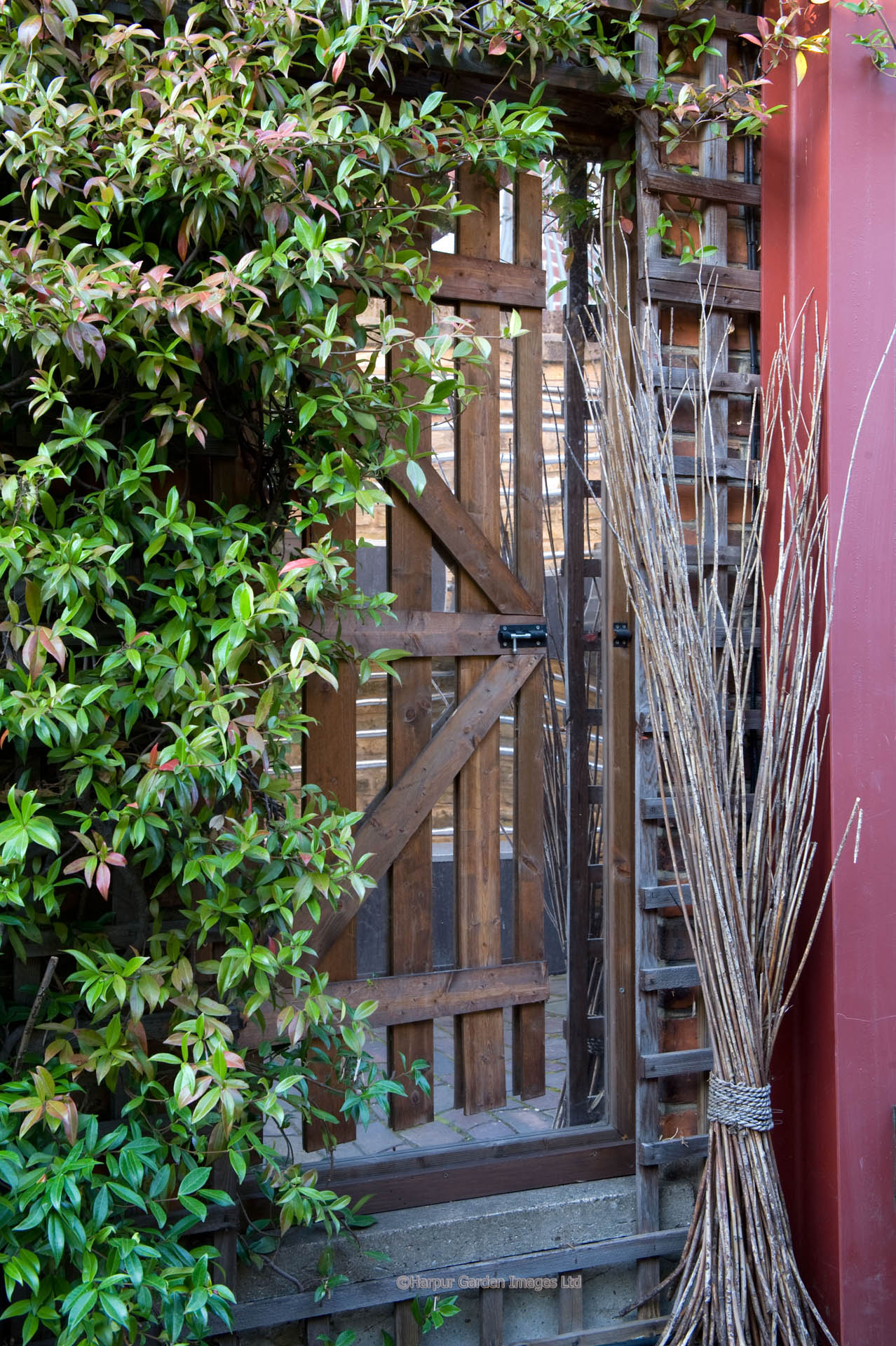 Kensal Green Garden Design