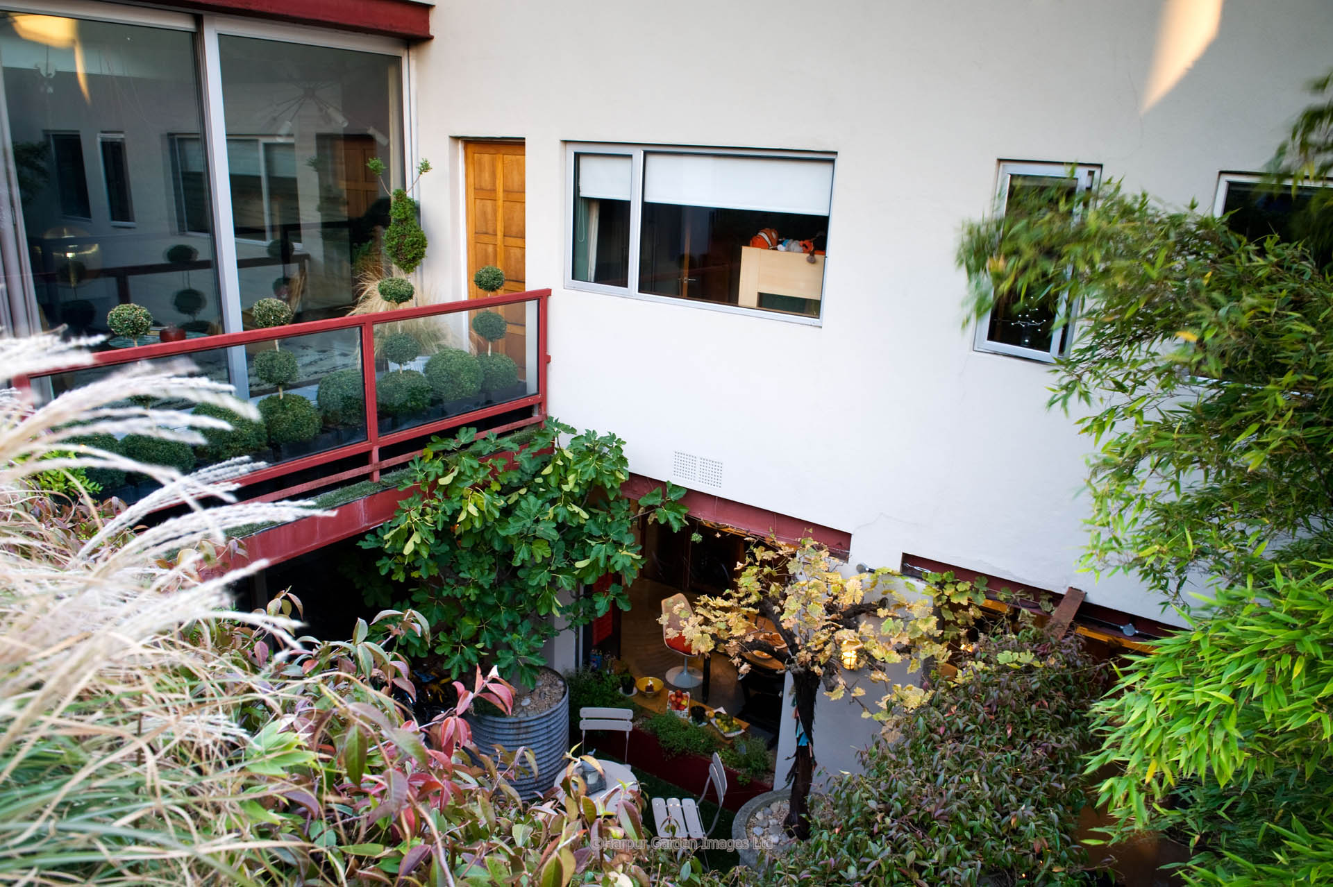 Kensal Green Garden Design, gardners sheen
