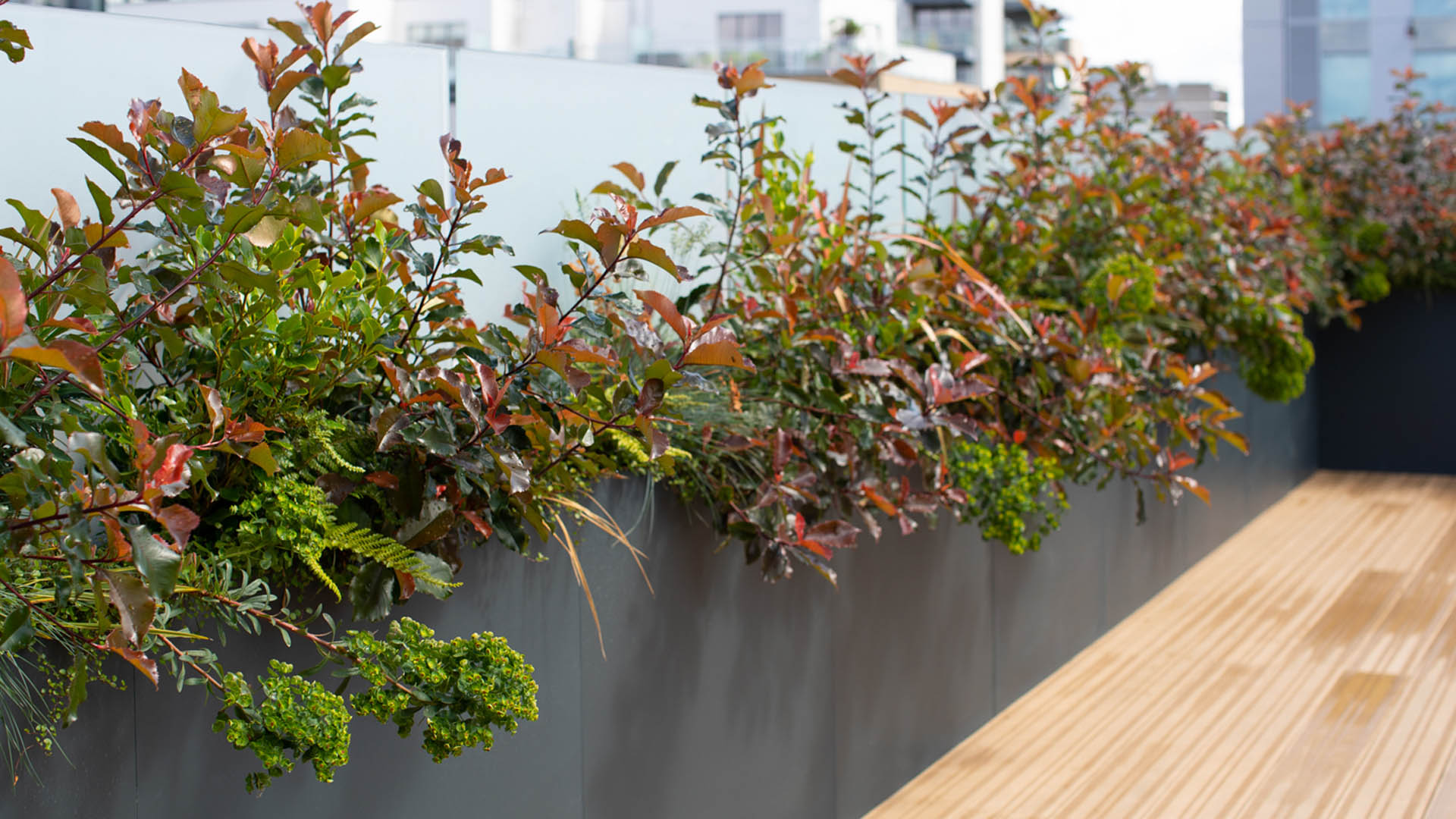 Clerkenwell Office Rooftop Garden Design