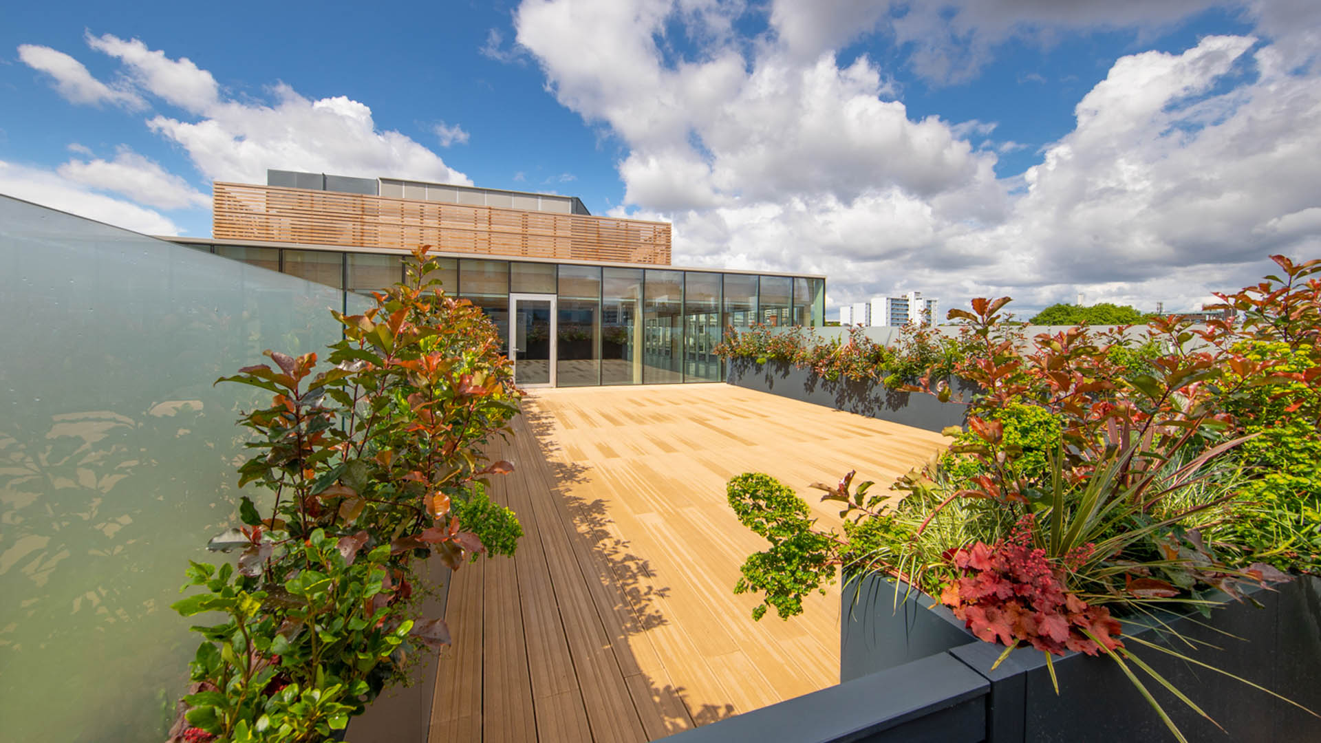 Clerkenwell Office Rooftop Garden Design