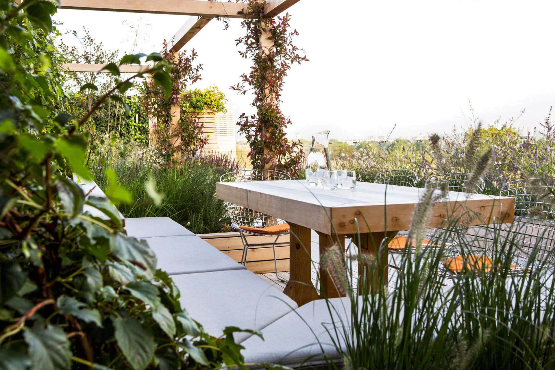 Hard Landscaping vs Soft Landscaping: Structure and Growth