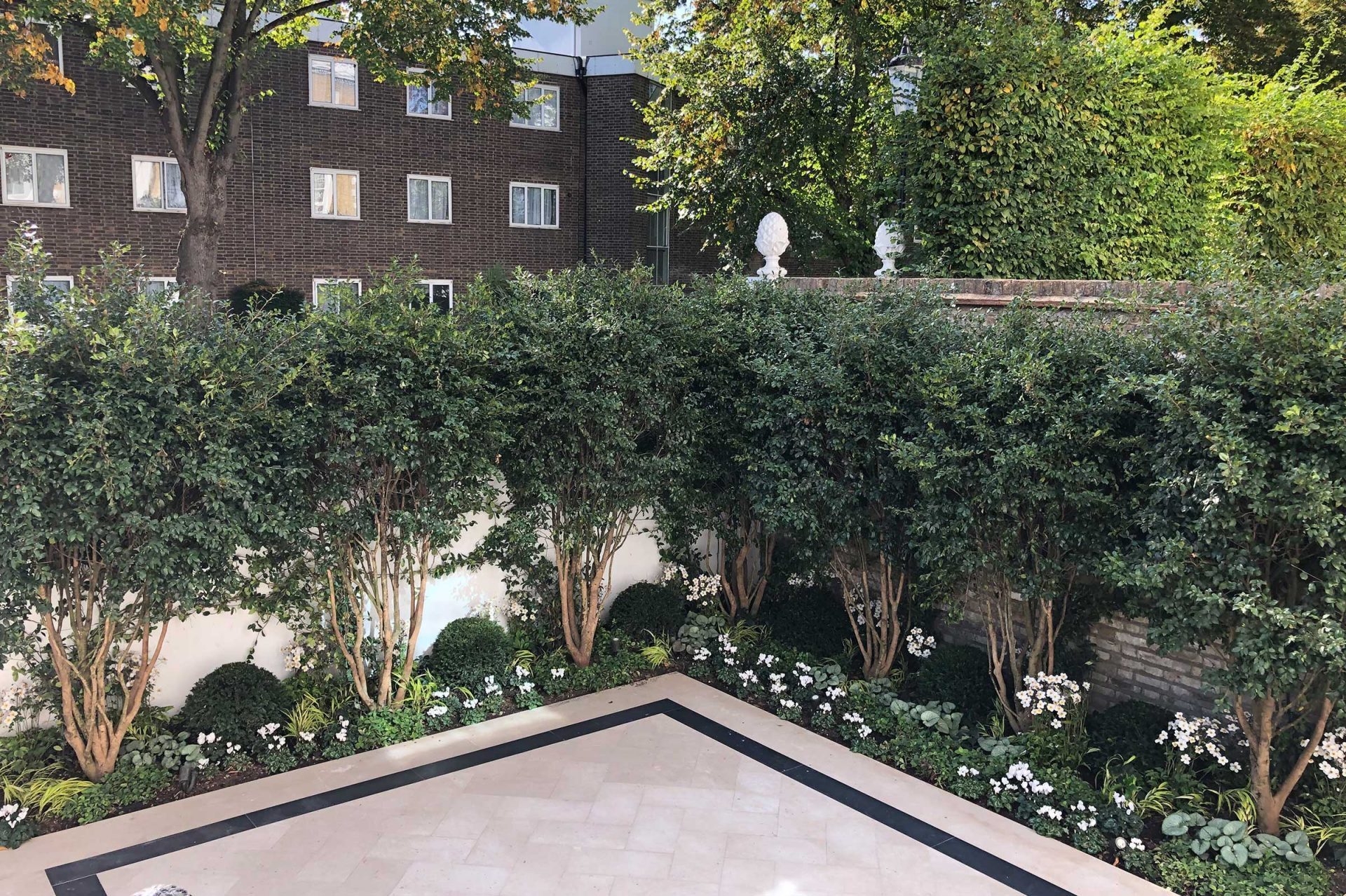 Green bushes and white flowers