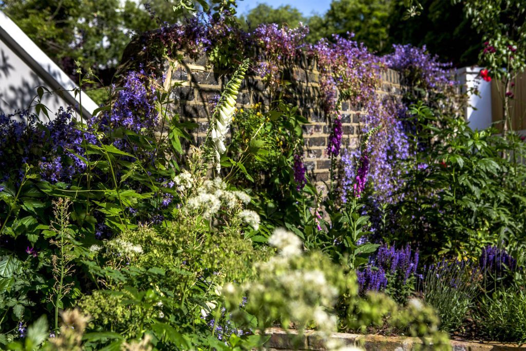 How to help insects in your garden to help pollination - low-maintenance garden