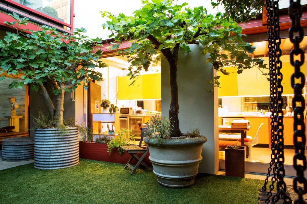 Big plant pot