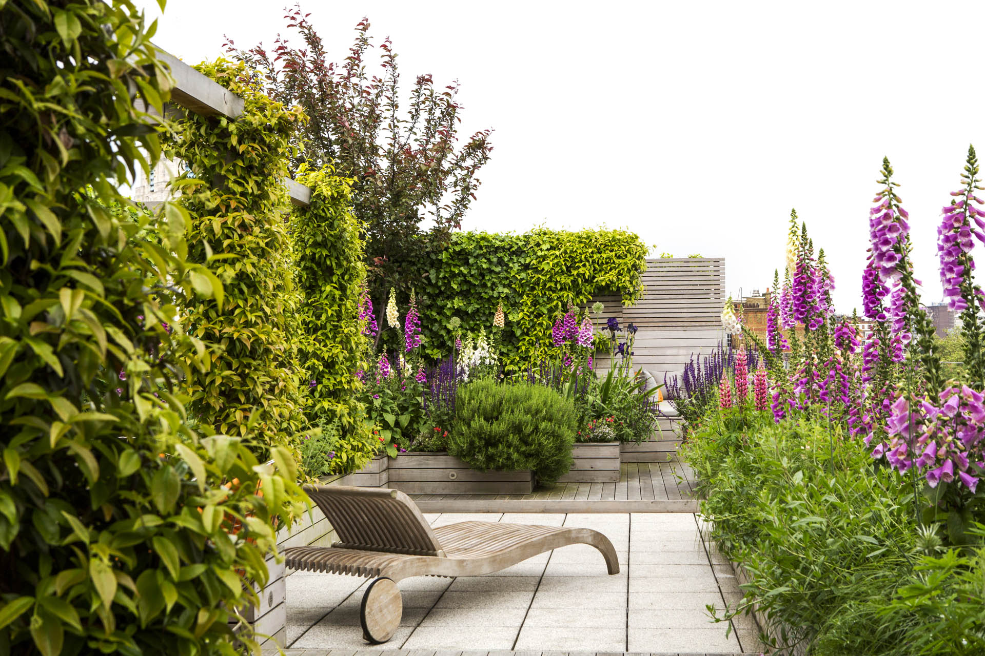 Regent’s Park Garden Design